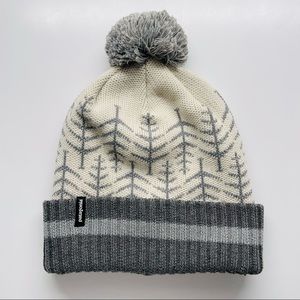 Patagonia Pom Snow Beanie
